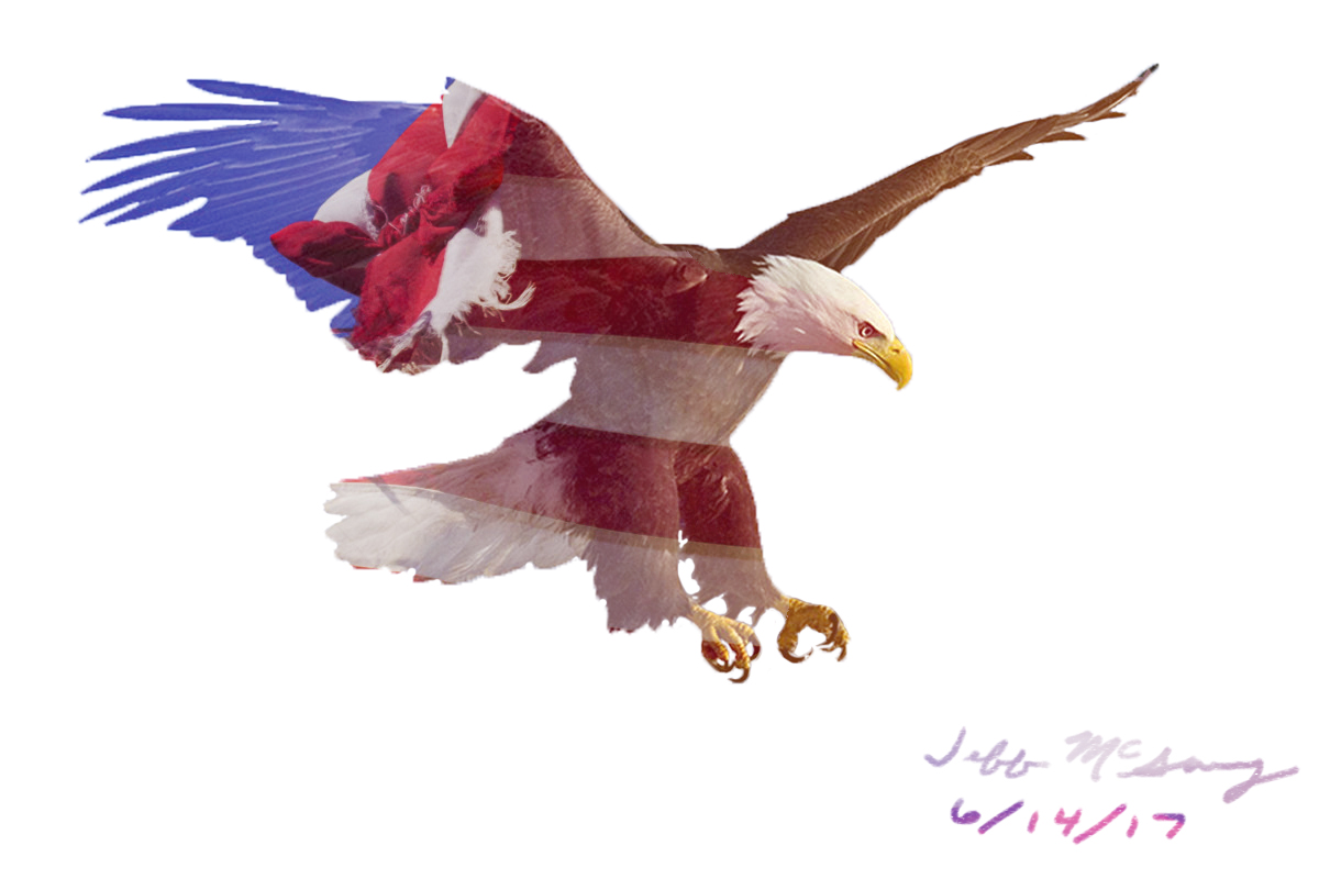 Flag Day Eagle